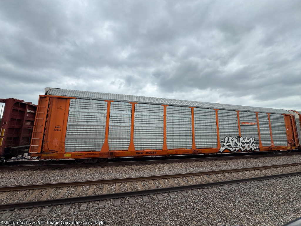 BNSF 302254